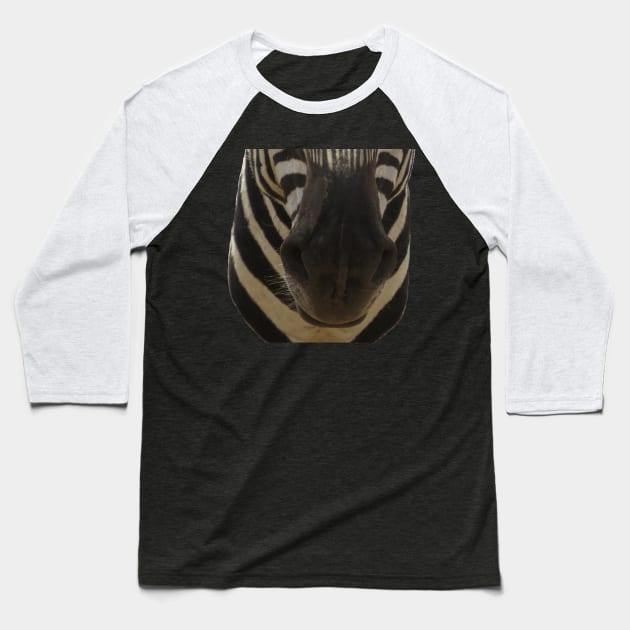 Zebra Mouth Baseball T-Shirt by ellenhenryart